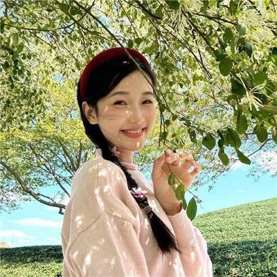 我的宝藏